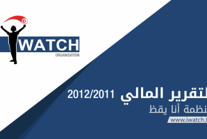 التقرير المالي 2011 / 2012