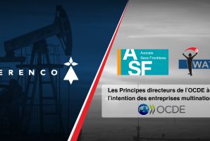 قبول دعوى ''أنا يقظ'' و''محامون بلا حدود'' ضد مجموعة بيرنكو